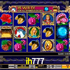 Experiência VIP ih777